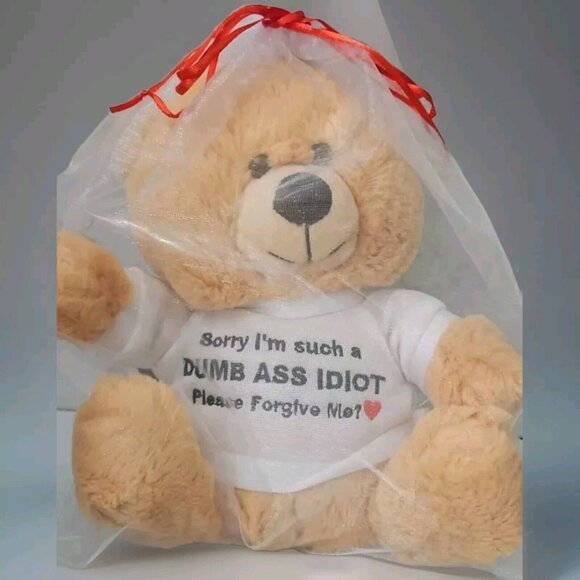 WITTY BEARS Sorry I'm Such a ...... Please Forgive Me? 10″ Teddy Bear Plush &Bag - Picture 1 of 4